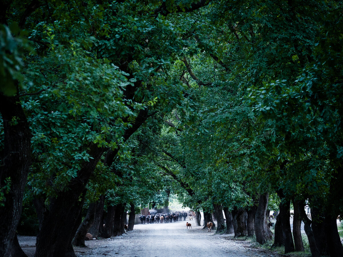 Фото: Oliver Migliore / Slow Food