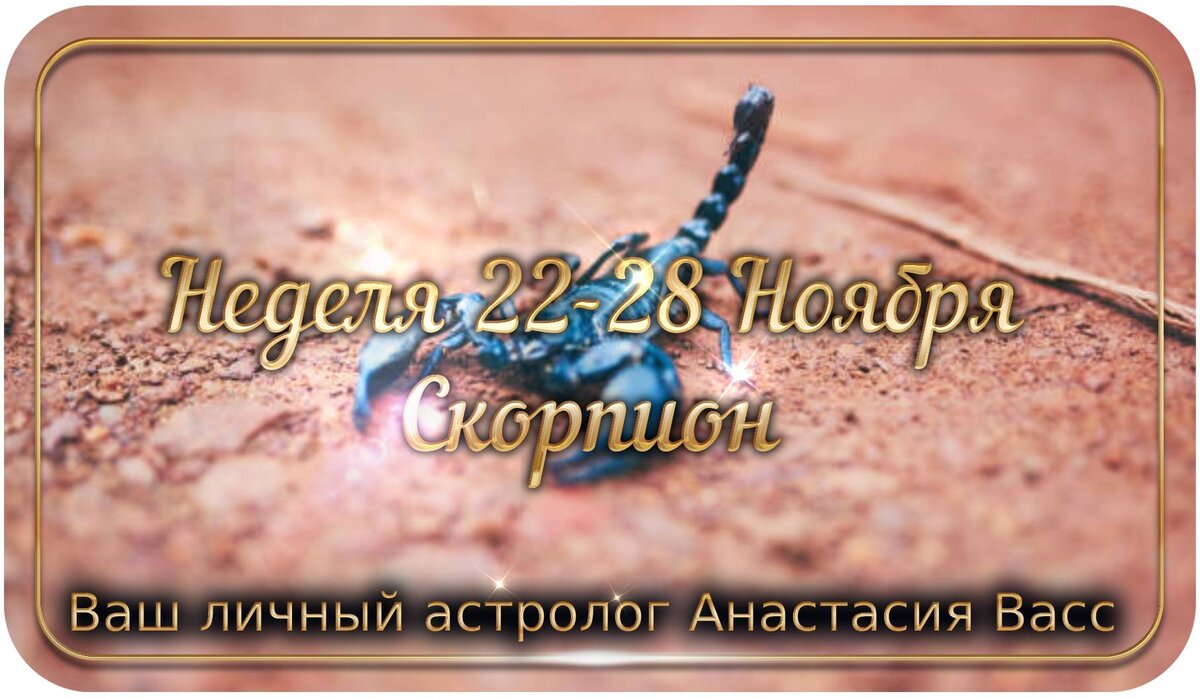 Скорпион: Гороскоп на неделю для вас с 22 по 28 ноября 2021 года