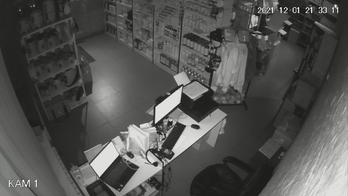 Изображение в отсутствии освещения. ИК подсветка