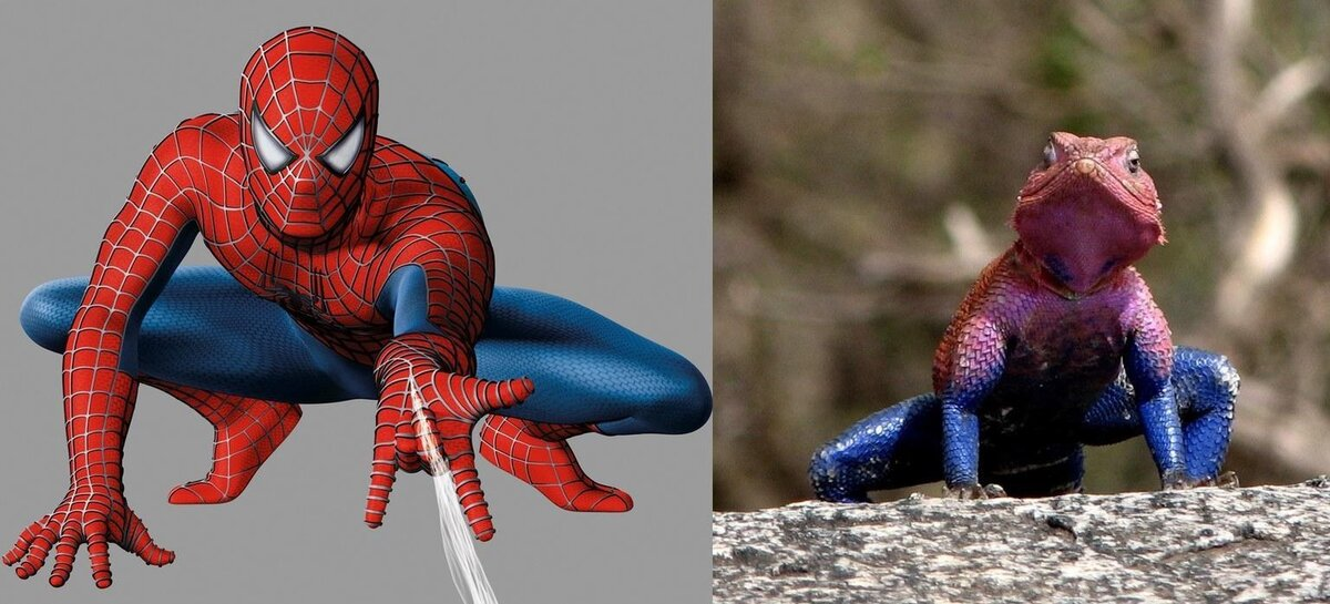 Найди 10 отличий. 