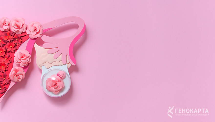 Alena Menshikova // shutterstock.com