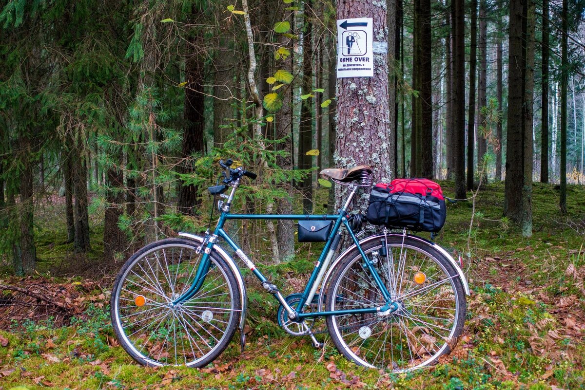  Яндекс картинки. Свободный доступ.