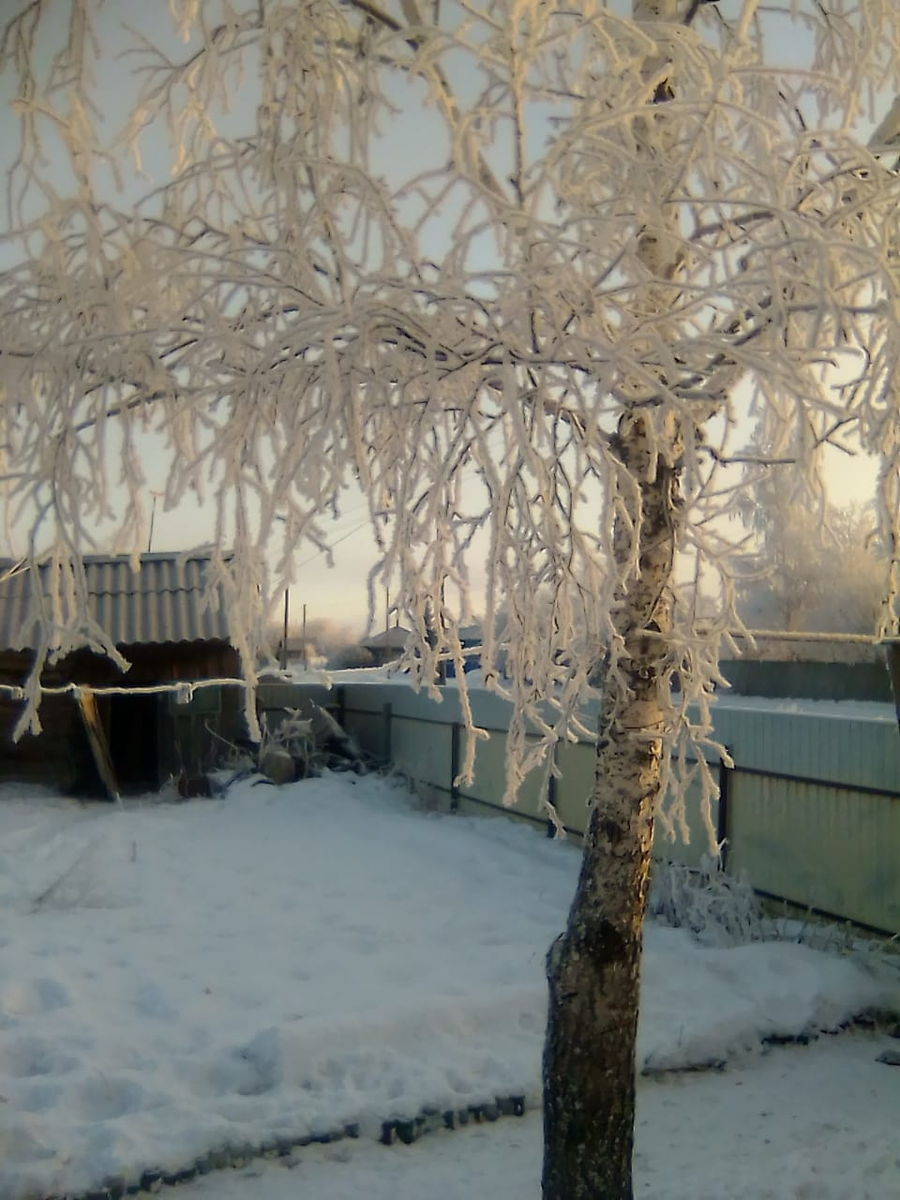 Личное. Какаяе у нас природа красивая. Берёзка не наша, ни уральская. Но Российская. 