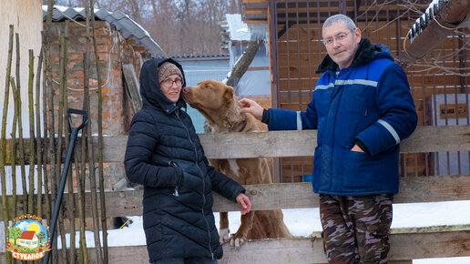 #362 Как за 1000 рублей можно спалить баню