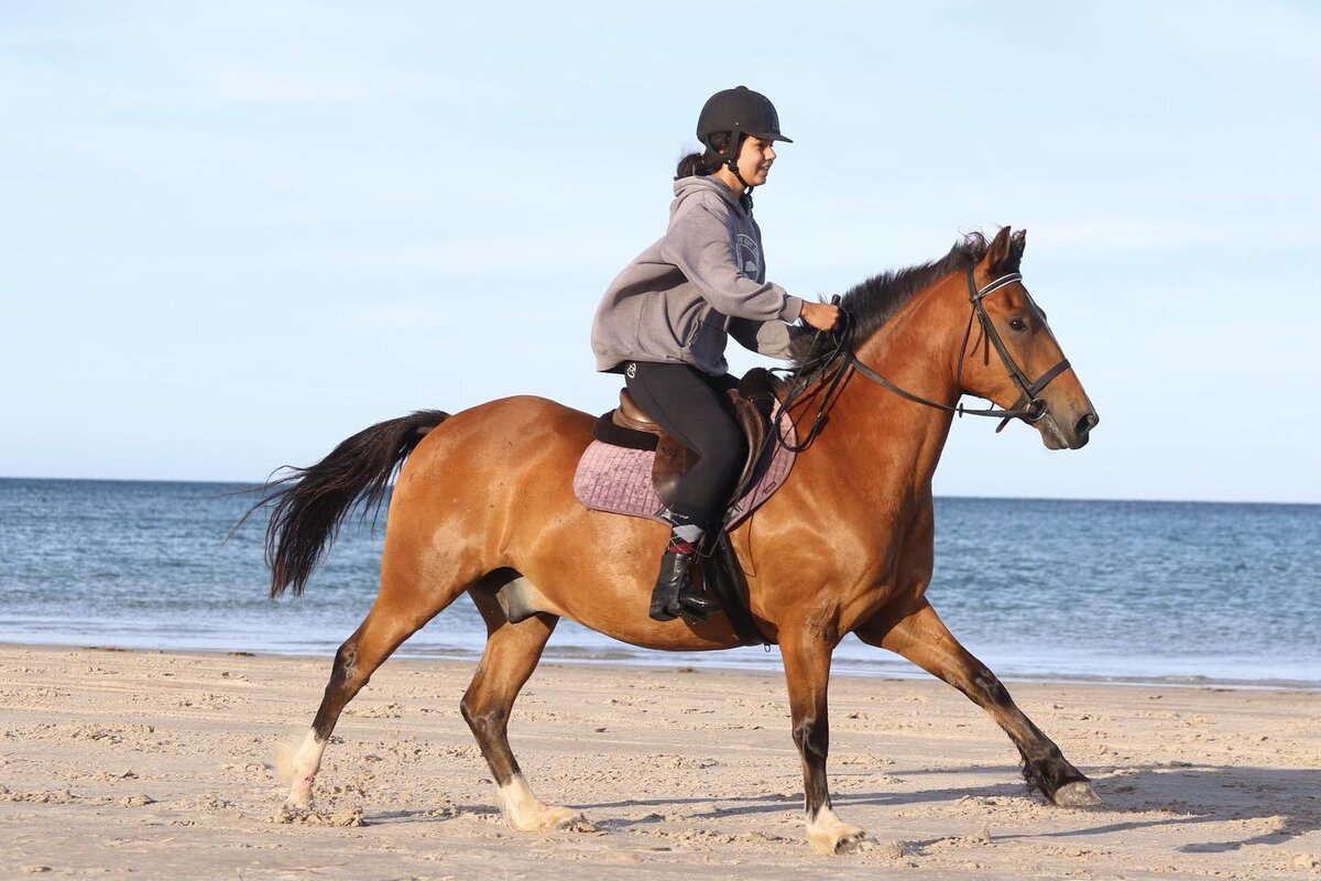 Почти каждый новичок, приходящий на конюшню, мечтает, как он где-нибудь будет галопировать верхом на лошади... Но это длится максимум до первой рыси, во время которой он тут же хватается за седло, вцепляется в повод и мечтает теперь только о том, чтобы лошадь двигалась медленней. 