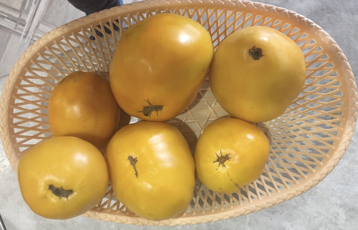 и помидорки)))