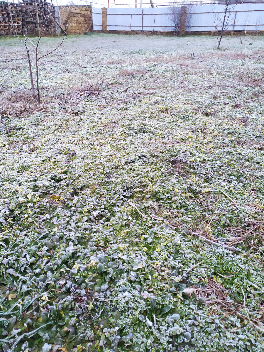 Всё белое от измороси и тумана. 