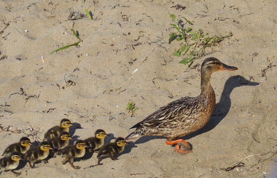 Когда на первом месте только дети - и совсем забыла, что есть ведь еще и муж...