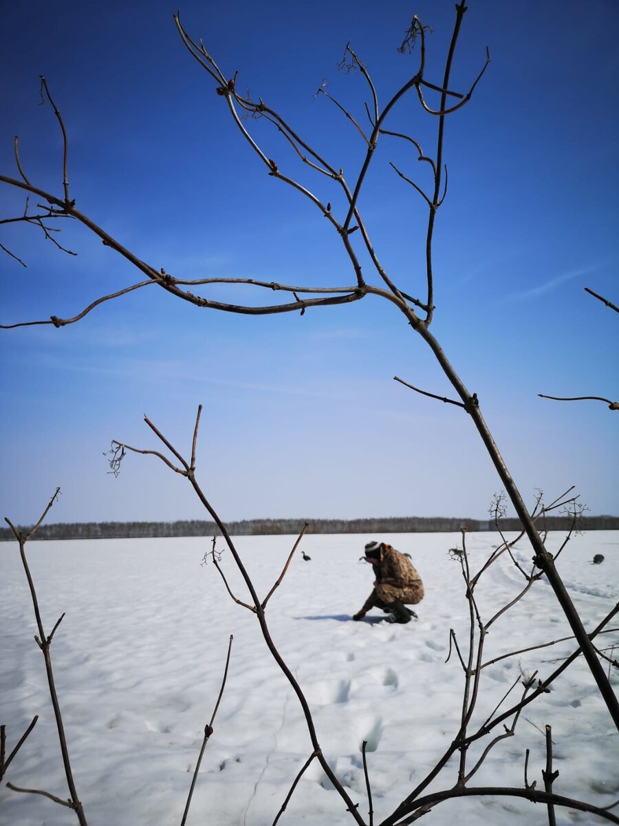 Скупая надежда, выраженная в бессмысленных действиях