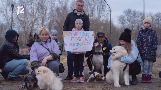 Строим хоккейную коробку своими руками