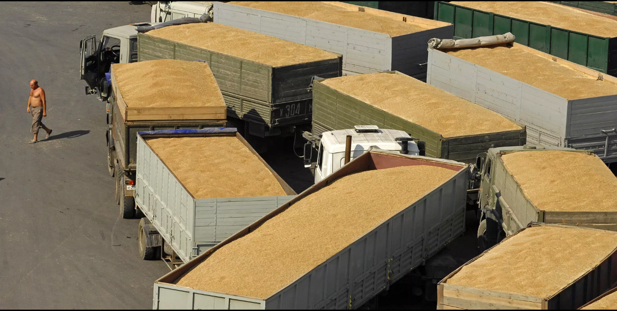 Все эти грузовые машины с зерном как видите без буквы "Z", они украинские и везут пшеницы через Румынию в Европу (изображение взято из открытых источников)