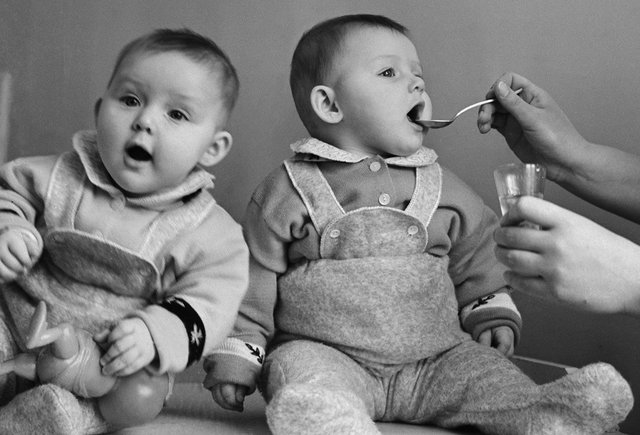 Изображение на обложке: ТАСС 