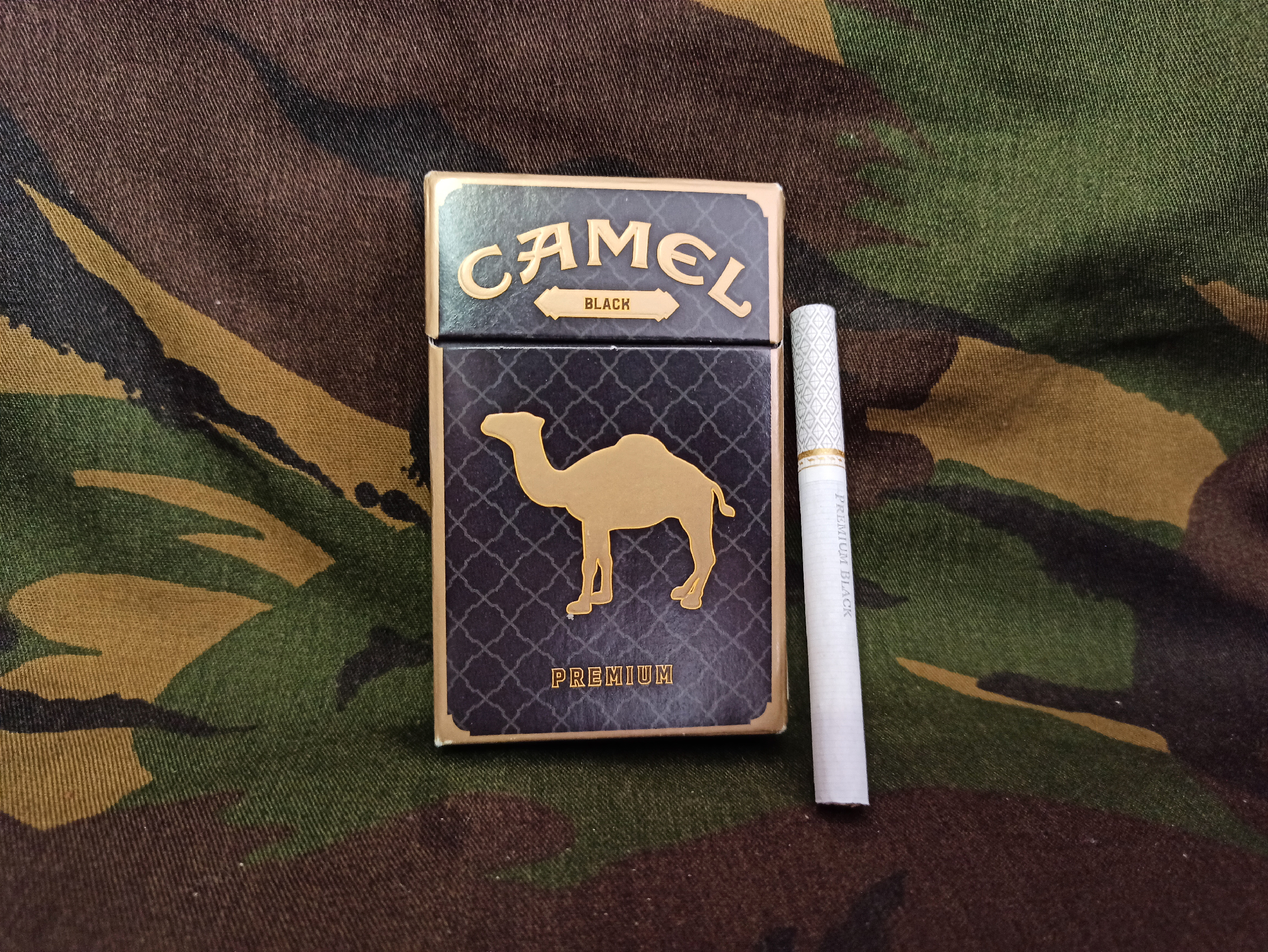 Camel black 2025