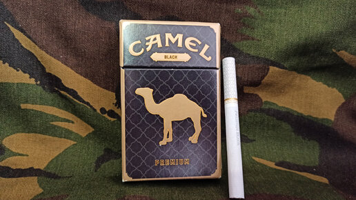 Camel 2024 black pack