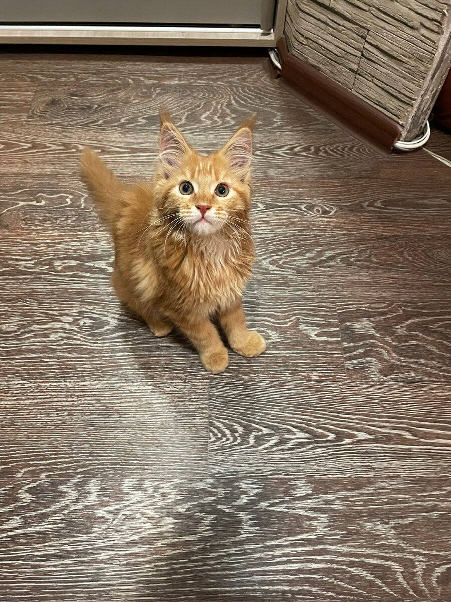 Личный архив 