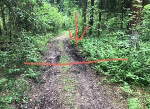 Стальная проволока, натянутая поперек тропы квадроциклистов