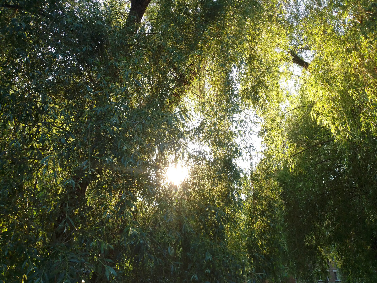 Просто жизнь