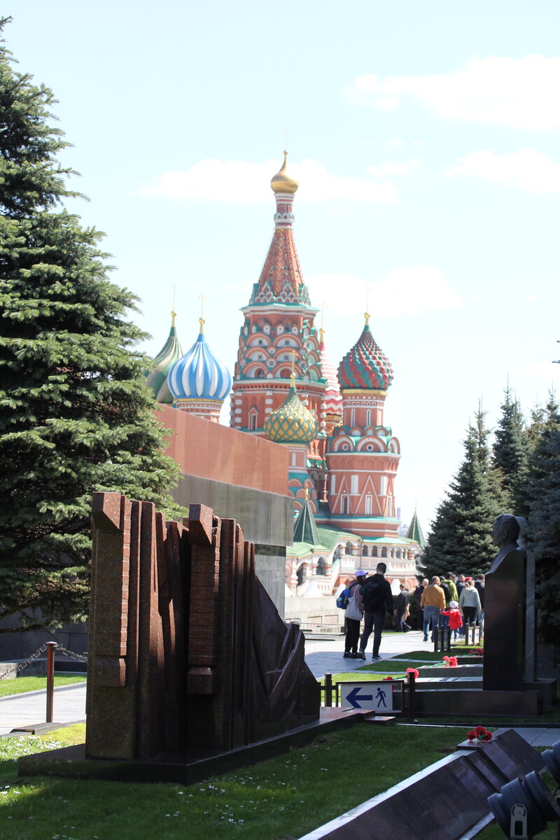 Елочки около некрополя у Кремлевской стены, Москва