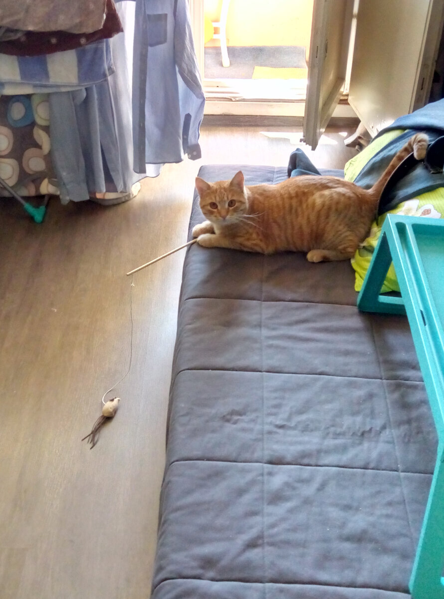 Стремительный на рыбалке