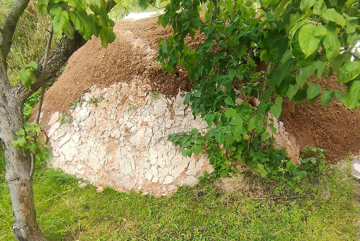 Старый песок мелкой фракции.