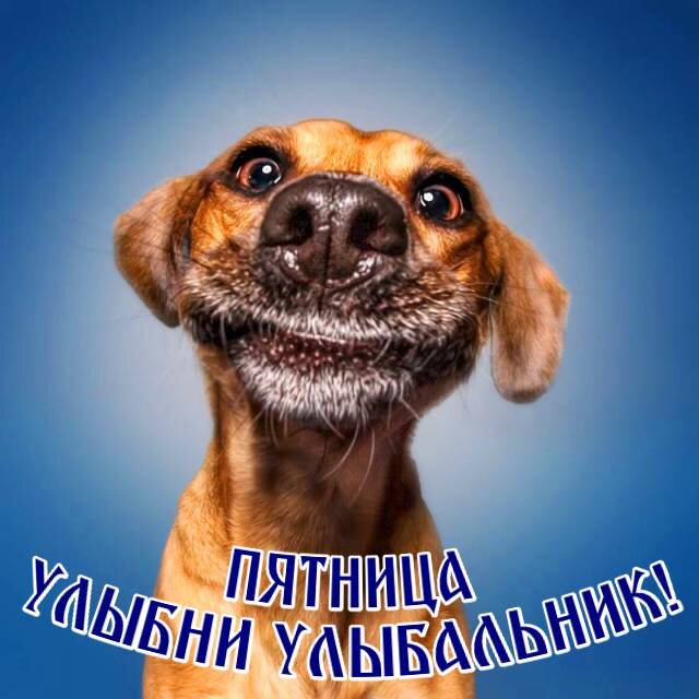 Хорошего дня!