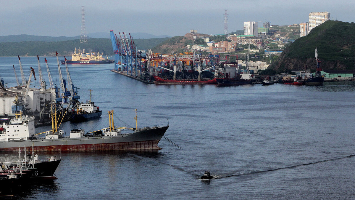    Корабли во Владивостоке© РИА Новости . Виталий Аньков