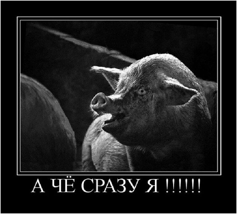 Изображение из открытых источников