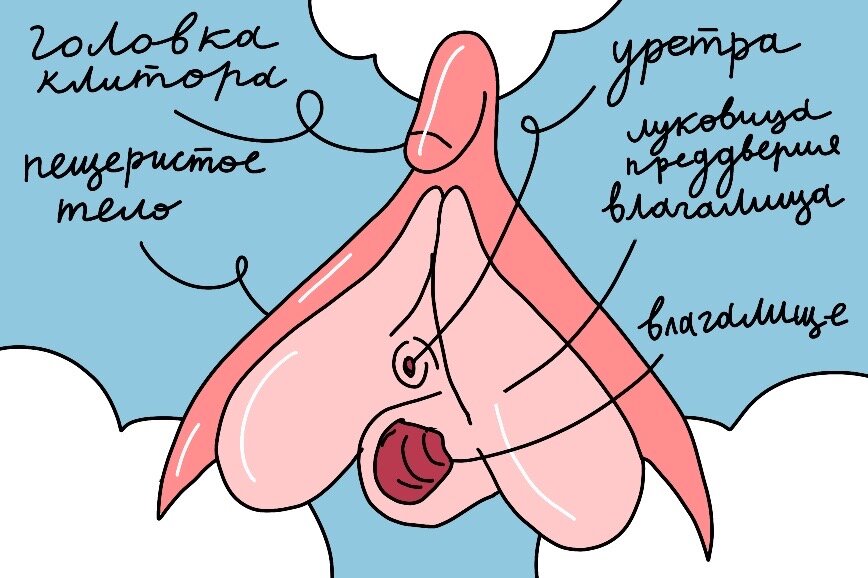 Пропустите женщину вперед…