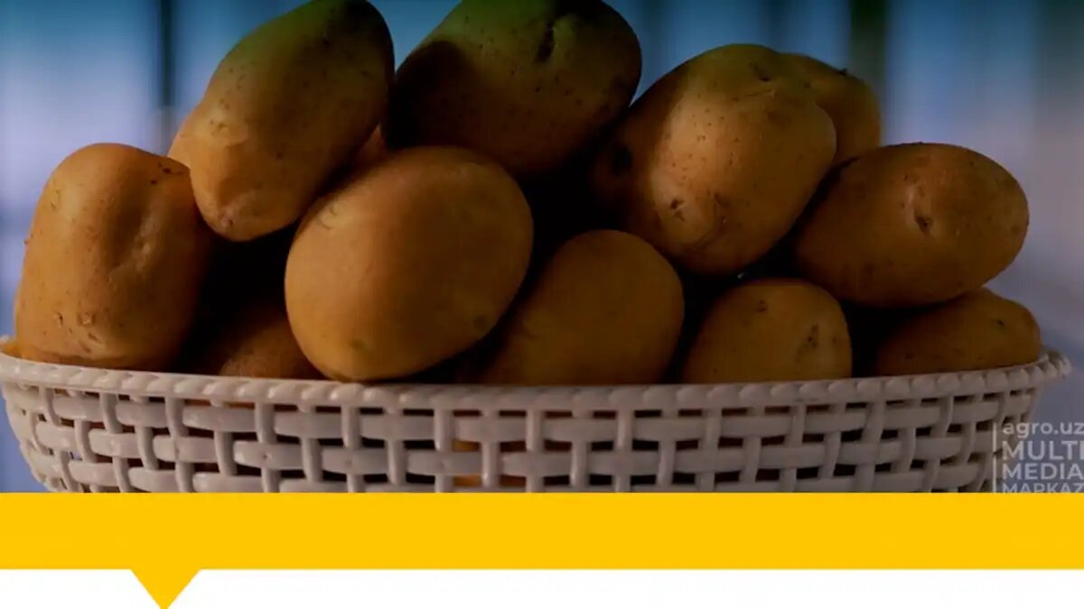 Фото:www.agro.uz