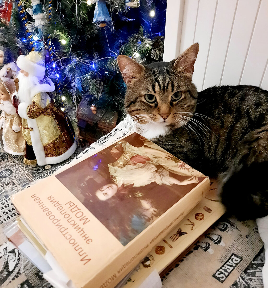 Изучаем костюм