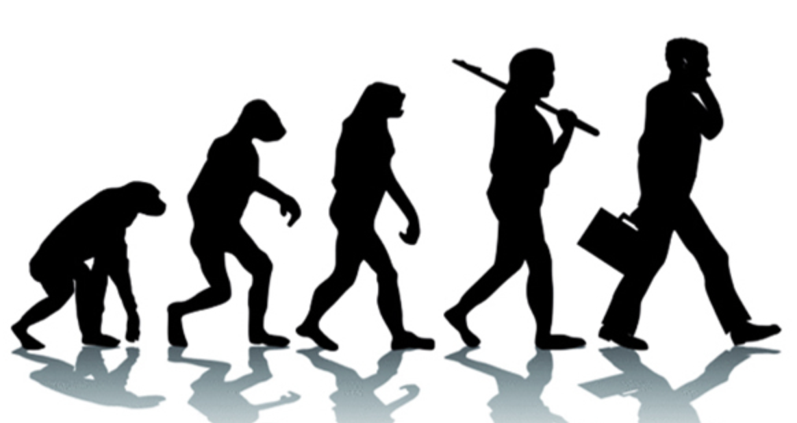 Влияние профессии на нашу жизнь по Дарвину.