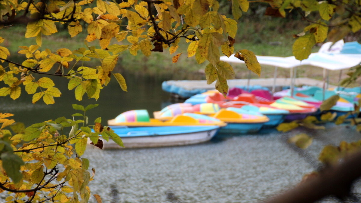     В начале октября жители региона еще могут застать теплую погоду.