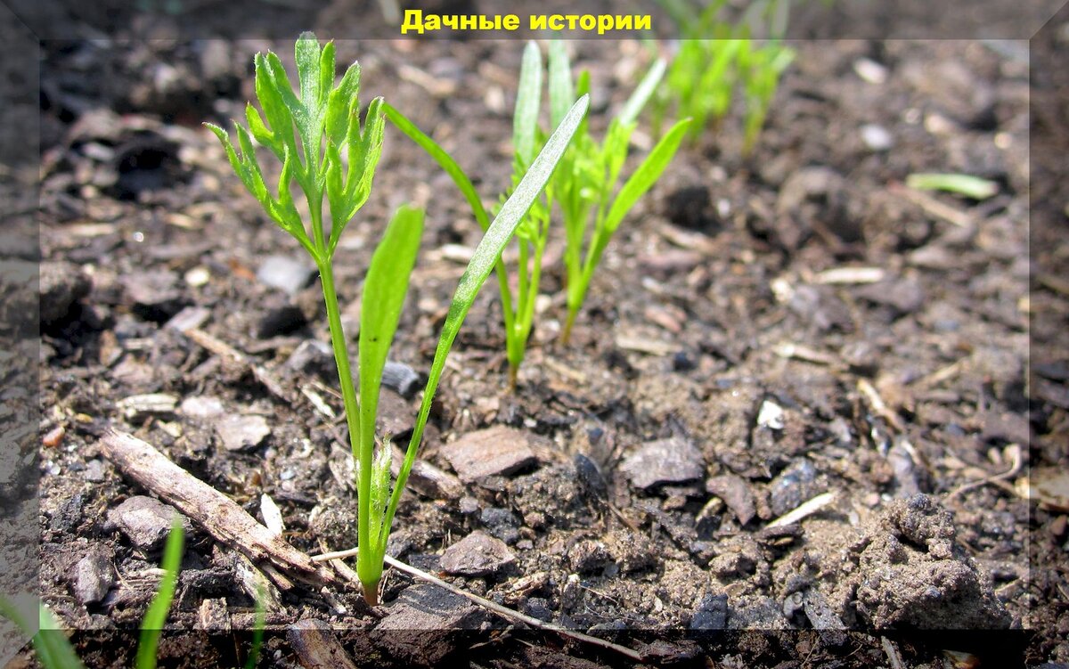 https://vk.com/photo-159774511_457246675