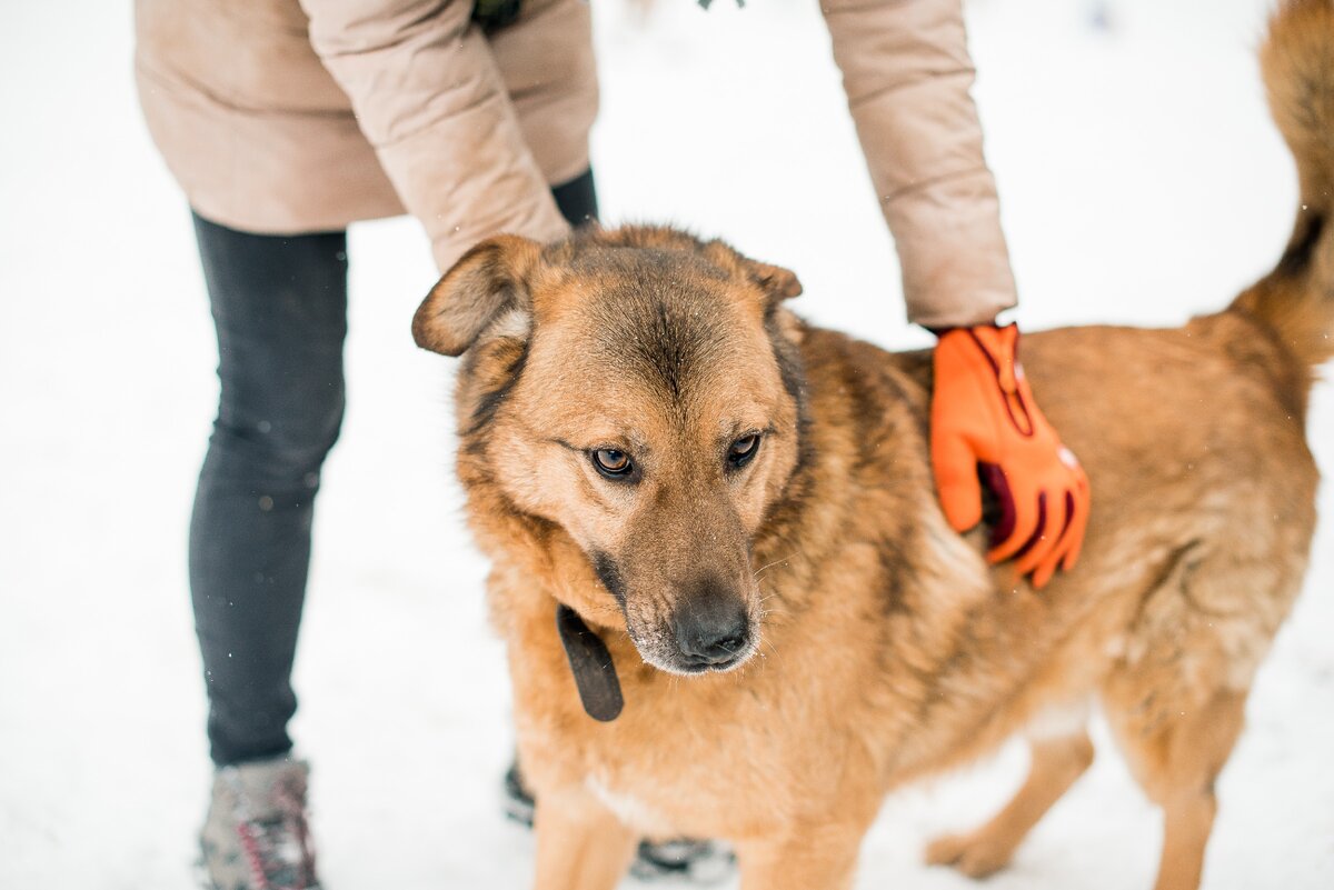 /Обнимаешь Брэди и чувствуешь его всего, такого ранимого и в то же время, возбужденного от встречи/
