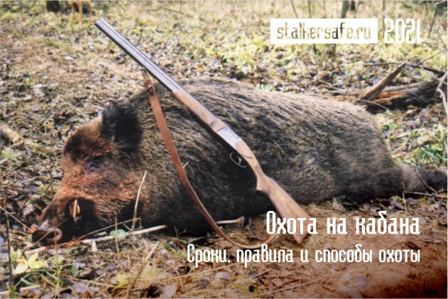 Интернет-магазин Stalkersafe.ru