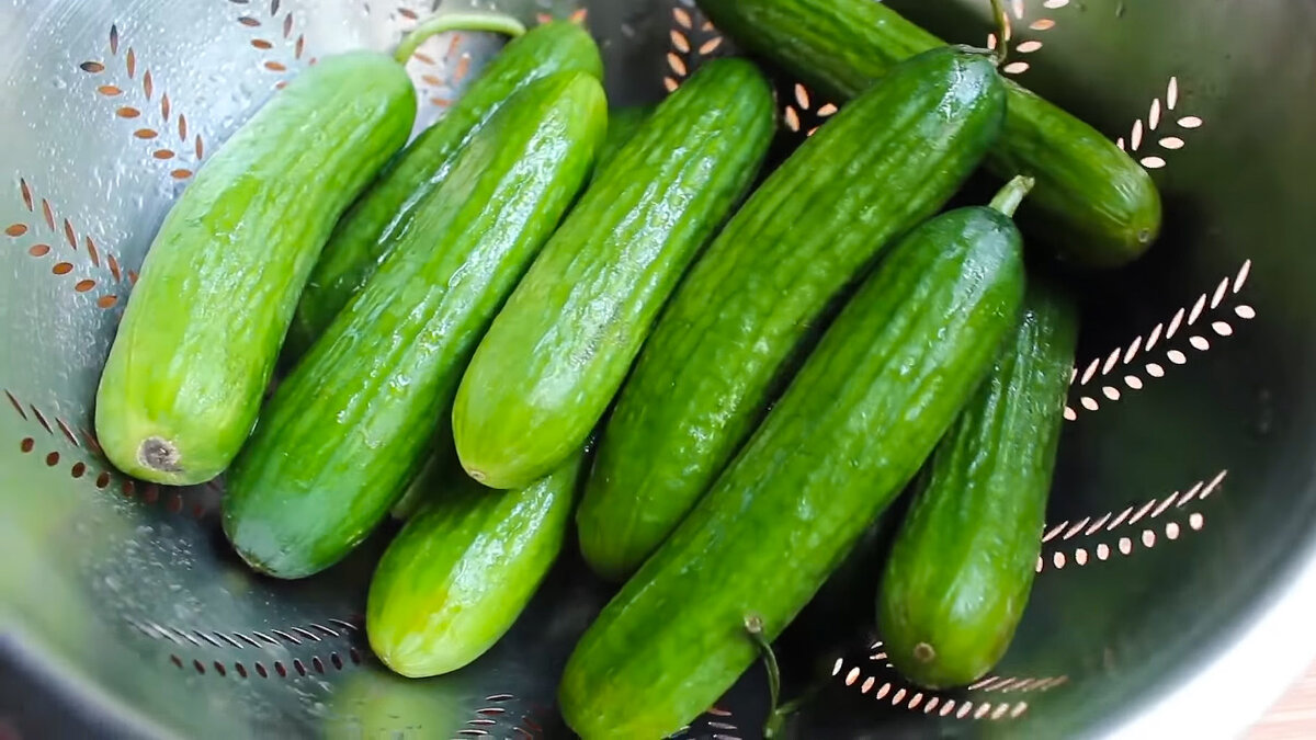 Огурец обыкновенный