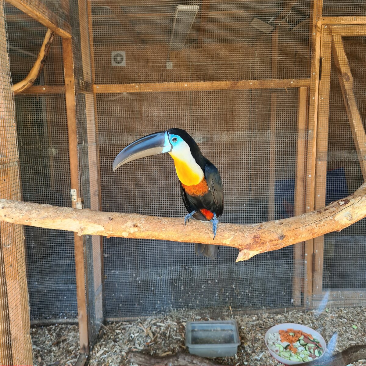 Сафари парк