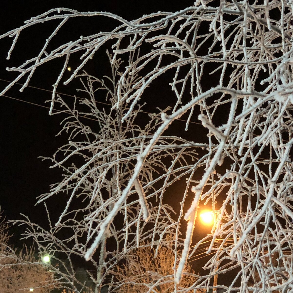 источник: личная фотография 