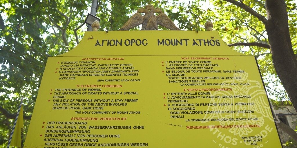 Фото предоставлено автором статьи