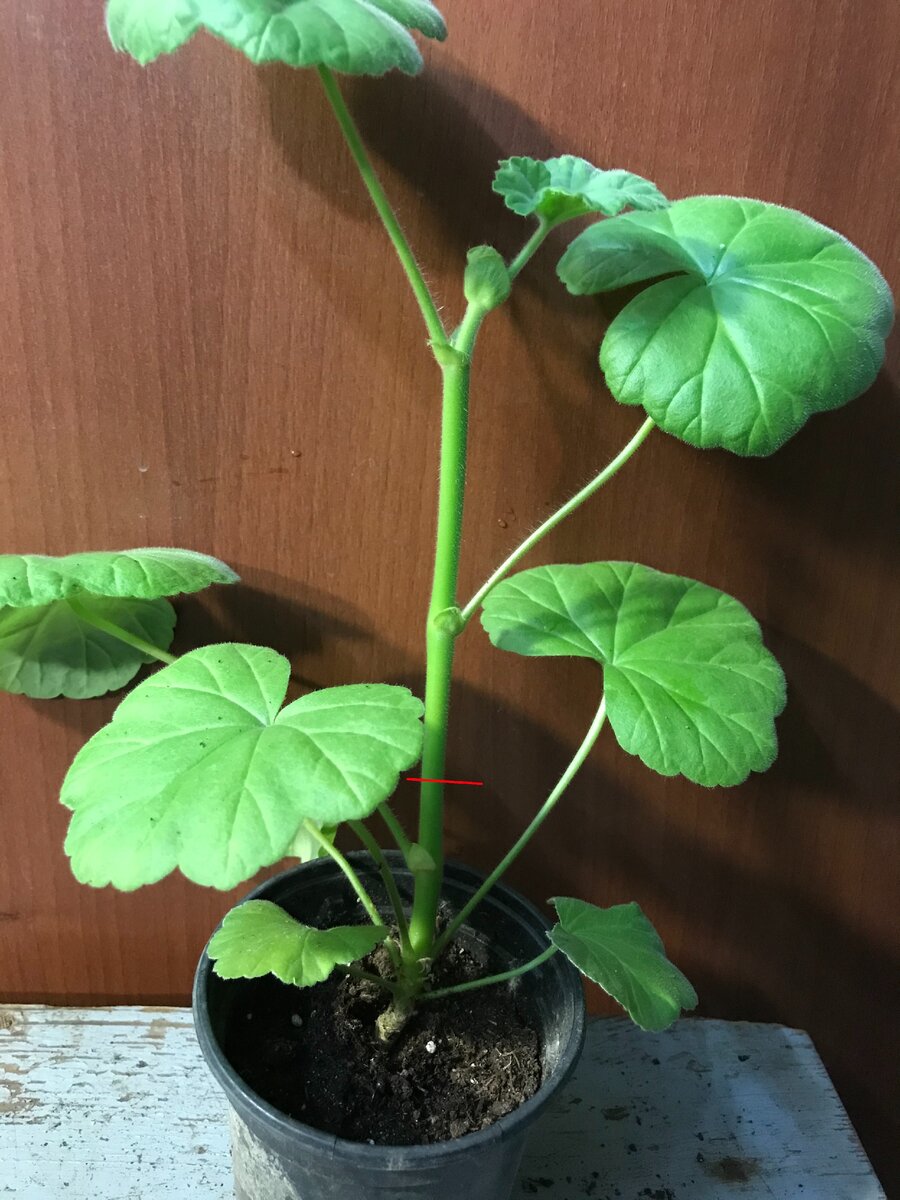 номер 2, этот покороче буду обрезать