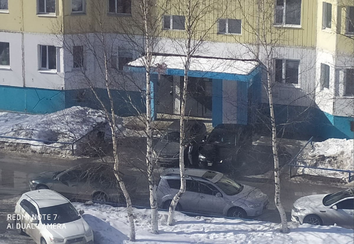 фото автора - справа от входа в подъезд - мусоропровод (отдельная дверь)