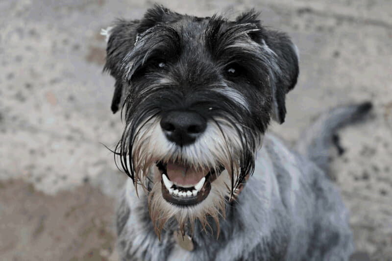 Источник. Яндекс картинки