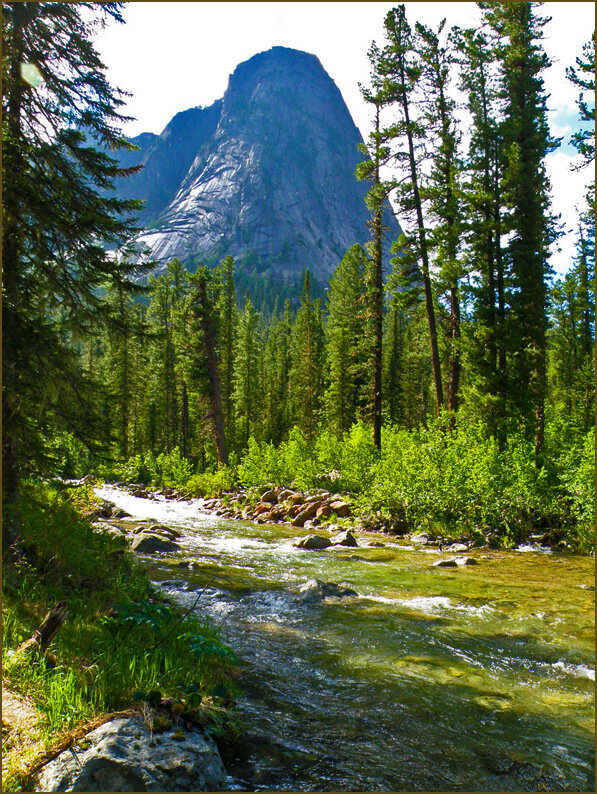 Яндекс картинки 