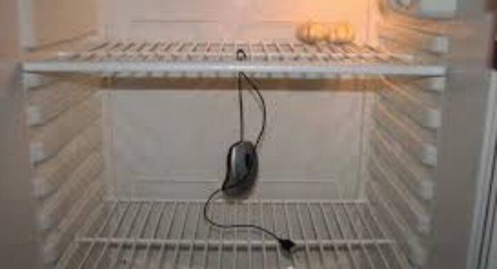 Источник Яндекс. Картинки 