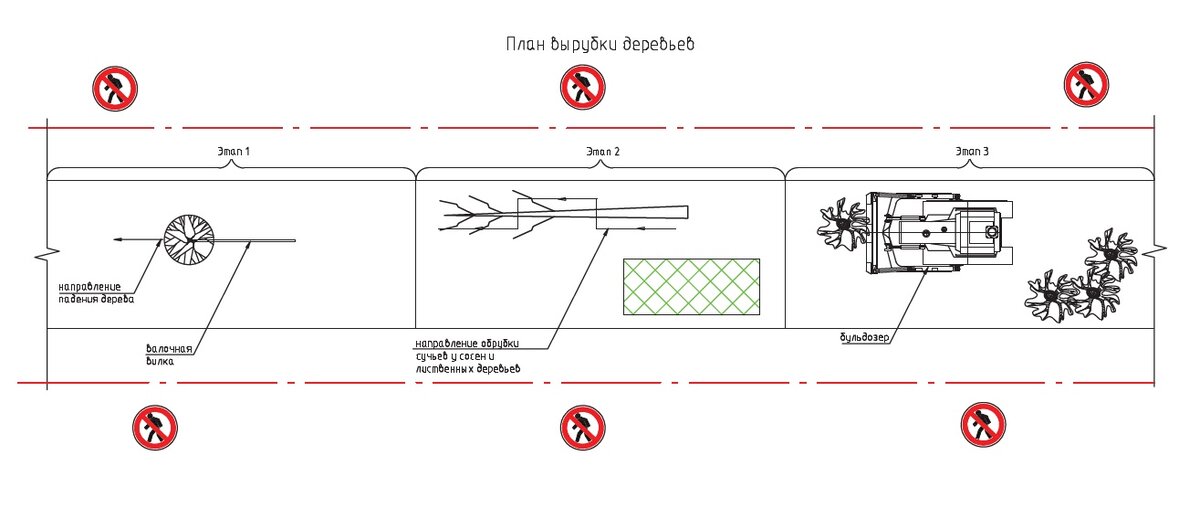 План вырубки деревьев