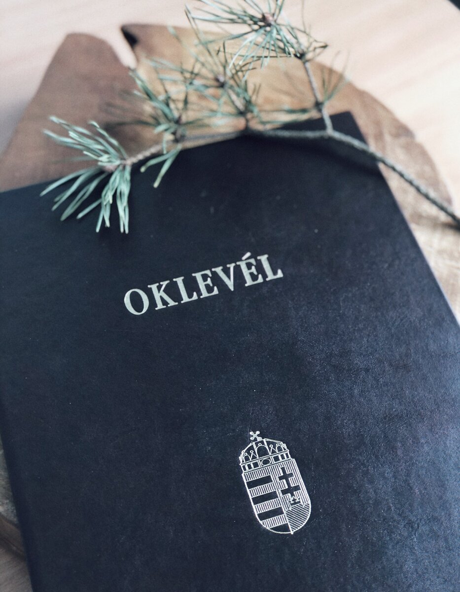 Надпись гласит - Диплом (на венгерском)