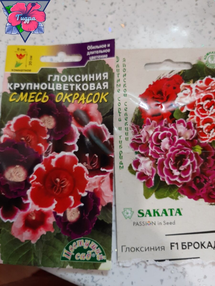 Личное фото 