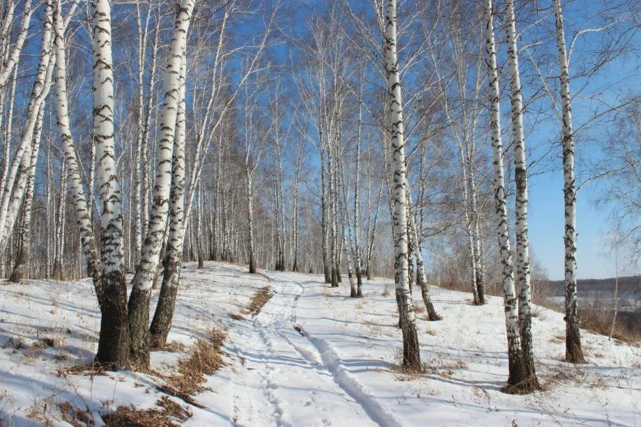 Фото — yandex.net