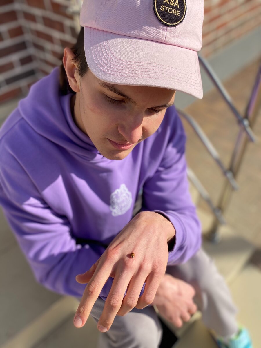 Божью коровку вам на счастье