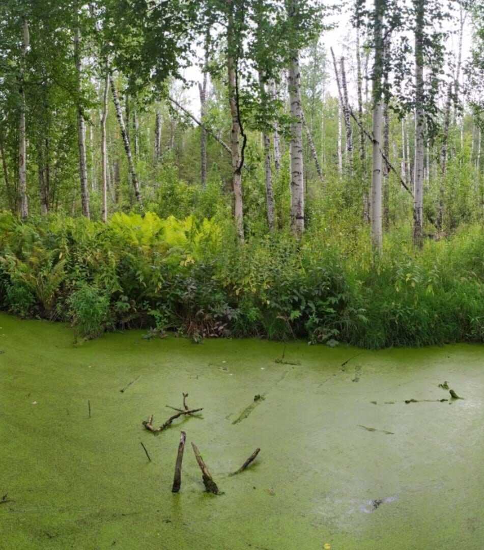 Пример кулишек, как место обитания нечистой силы